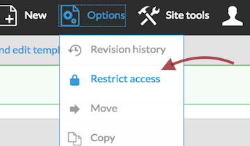 restrict access selected in options menu.png