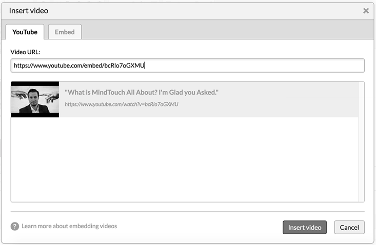Screenshot of youtube embed tab in video dialog